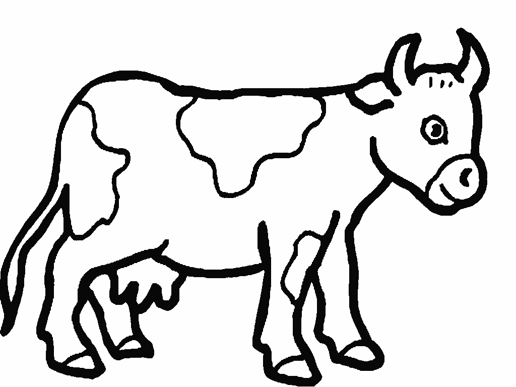planse desene de colorat vaca vitel taur bou